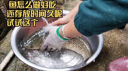 邋遢鱼的做法 西瓜视频