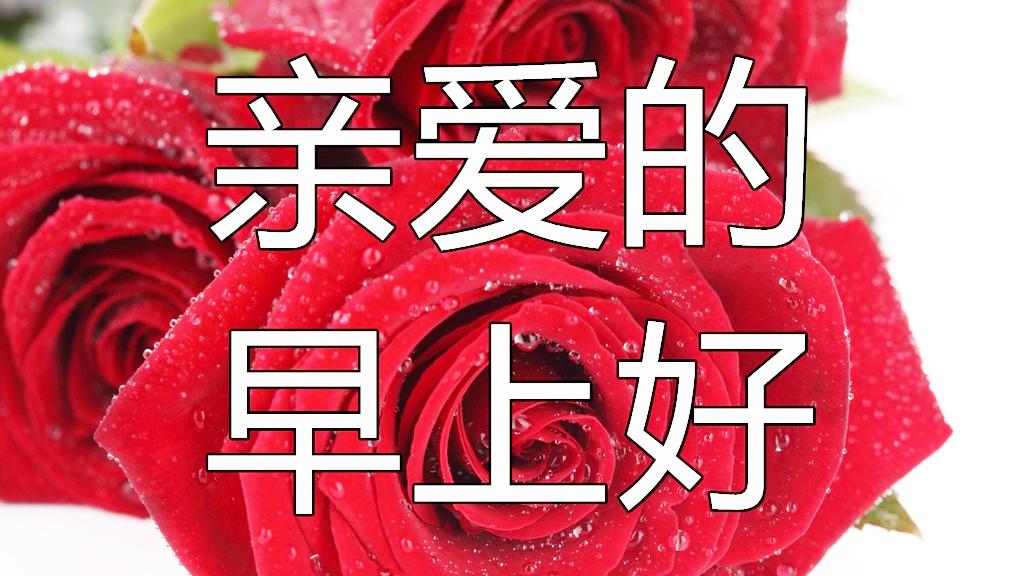 早上好!一声问候,一份祝福,愿好心情伴你一整天!