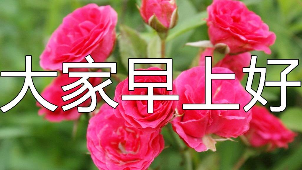 早上好!送你一首好听醉人的歌曲,祝心情美美哒!