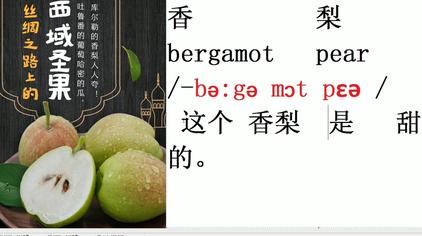 pear翻譯中文視頻在線觀看 - 西瓜視頻