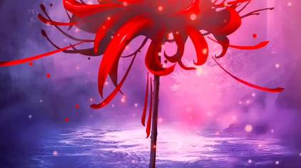 彼岸花古风壁纸女子视频在线观看 西瓜视频