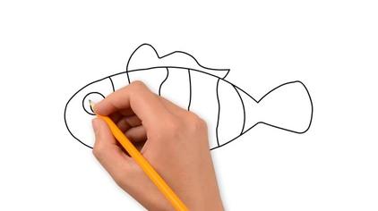 26豆豆飞动漫屋非常漂亮的五彩小金鱼,彩色简笔画,你学会了吗297次