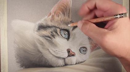 简单水彩画猫背影 - 西瓜视频