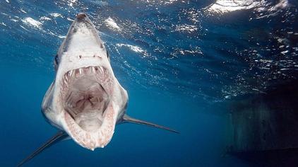 5万次观看·1年前当年在罗布泊发现的沙民,脉搏停止跳动还能活,难道