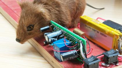 095万次观看·1年前高科技封闭式超给力高压电击捕鼠器,简直是老鼠的