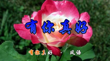 45次观看·2年前08:54笑笑mv风语最感动人心的3首歌《有你真好》