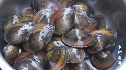 淡水贝壳怎么做好吃 - 西瓜视频
