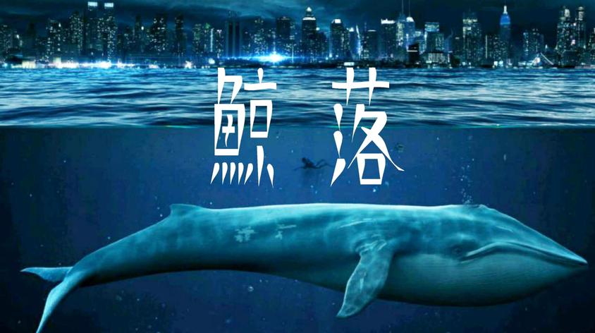 鲸鱼爆炸视频视频在线观看 - 西瓜视频
