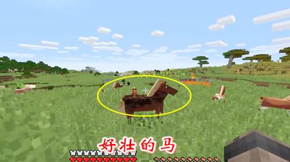 迪哥闯世界单人生存第三季275 - 西瓜视频