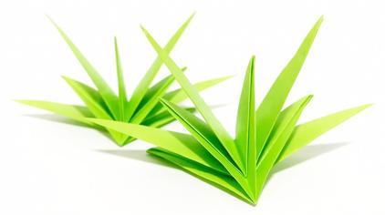 用卡纸剪草 - 西瓜视频