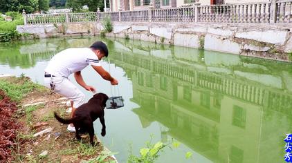 老鼠在水里多久能淹死 西瓜视频