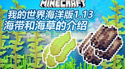 Minecraft海带视频在线观看 西瓜视频