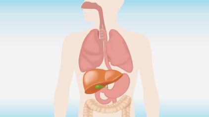 男人左下腹部疼痛是什麼原因 - 西瓜視頻