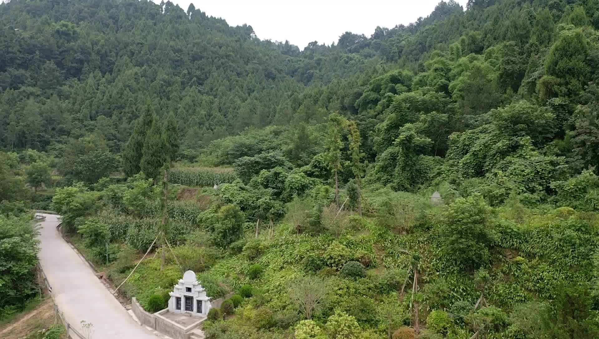 四川苍溪县,王健林祖父母墓航拍,这样的祖坟地能发富?