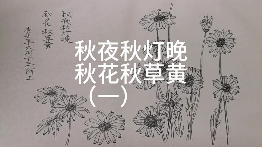 秋夜秋灯晚 秋花秋草黄 一 西瓜视频