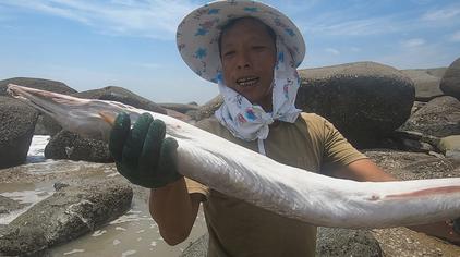 老渔农阿雄 - 西瓜视频