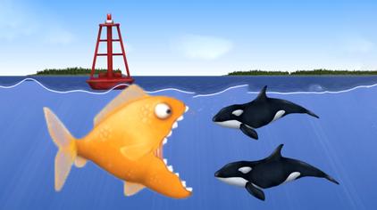 大头鲸和长须鲸 - 西瓜视频