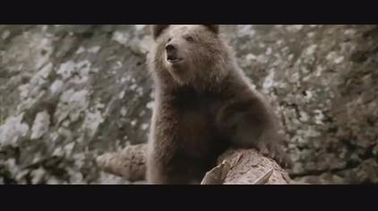 子熊故事完整版电影视频在线观看 西瓜视频