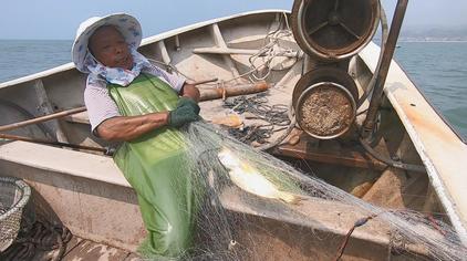 08:57老渔民阿雄阿雄顶着大浪出海两次,终于捕到珍贵的大黄鱼,比上次