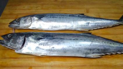 假马鲛鱼 - 西瓜视频