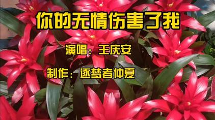3万次观看·2个月前02:03金包卵搞笑四川方言配音:我做错什么了,为何