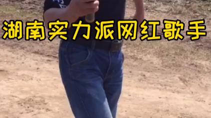 岳阳廖九斤 - 西瓜视频