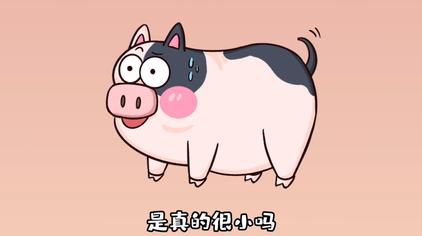 迷你小香猪 - 西瓜视频