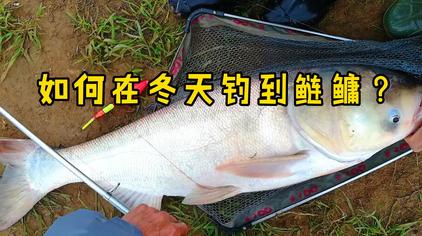 3万次观看·1个月前龙飞的渔乐江湖11:0574.