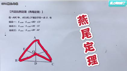 燕尾定理视频在线观看 西瓜视频