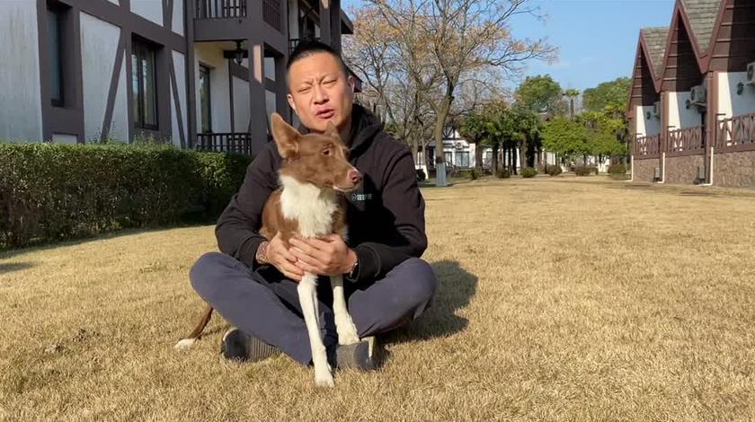 宁蔚宠物正向训练师