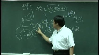 倪海厦针灸90集笔记视频在线观看 西瓜视频